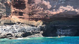 This is what the coast of La Palma looked like before the lava - La Palma - Canary Islands