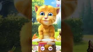 Hungry Ginger  #tom #funny #kids #viral