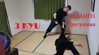 Bujinkan 三級 – 3 kyu (Программа обучения)