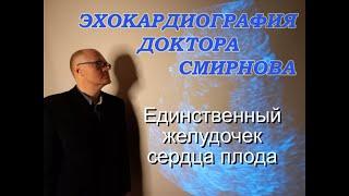 14. Единственный желудочек сердца, транспозиция магистральных артерий у плода