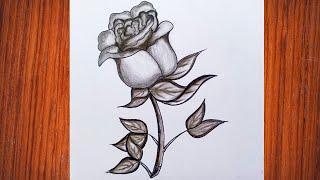 How to draw a rose drawing|| Rose  drawing easy step by step|| pencil rose sketch drawing