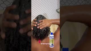 Mane n Tail Herbal Gro Shampoo & Conditioner Review