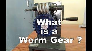 Worm Gear | Worm drive | Purushotam Academy