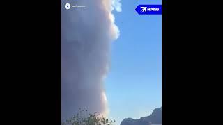 В Греции туристов эвакуируют из-за лесных пожаров