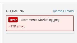 How to fix Wordpress HTTP Error while uploading media or files