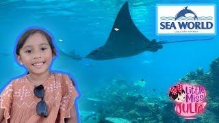 Family Day and Fun Kid Activities at Sea World Gold Coast | Australia