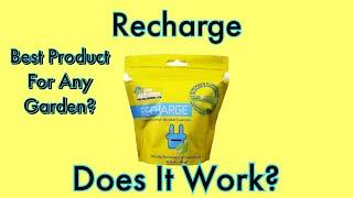 Is Recharge Worth It?