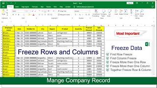 How to Freeze Row and Column in Excel | Multiple Row and Column Freeze|