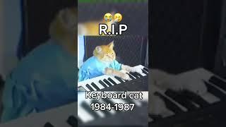 RIP keyboard cat you will be missed #keyboardcat