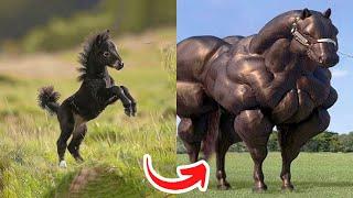 Before & After Animals Growing Up | Amazing Animal Transformation | Animals Grow Up