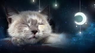 Relaxing Lullaby for Cat and Kitten  (with Cat purring sounds) - CAT MUSIC - 1 HOUR