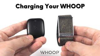 How to Charge The WHOOP 4.0