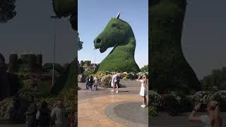 The Beauty of Miracle Garden #foodandtravel #1million #shorts