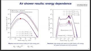 Neutron Production in Extensive Air Showers