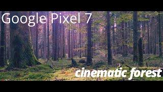 Google Pixel 7 Pro, cinematic forest. Test sample video with HDR and stabilization.