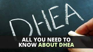 All You Need To Know About DHEA