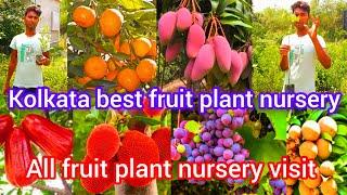 Surab Nursery visit fruit plant nursery in Kolkata West Bengal all fruit plants nursery available