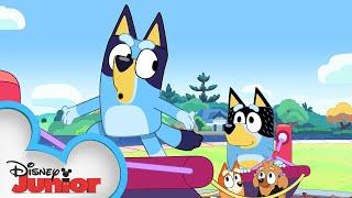 Bluey and Bingo's Pirate Adventure ️ | Bluey | Disney Junior