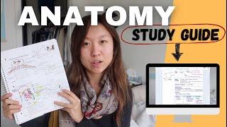 How to Study for Anatomy 🫀 | Guide to anatomy resources and making your own study tools!