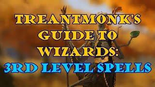 Treantmonk's Guide to Wizards: 3rd level spells