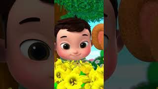 Pretty #Colors Mixing | Little Baby Bum | Kids Cartoons & Nursery Rhymes | Moonbug Kids