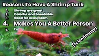 You Need A Shrimp Tank