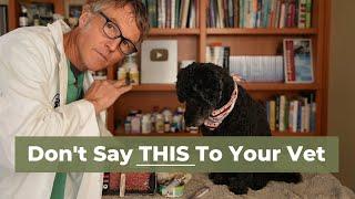 7 Things to Never Say to Your Vet
