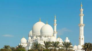 Abu Dhabi City Sightseeing Tour from Dubai