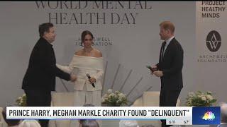 Here's what nonprofit expert says about Harry and Meghan's charity