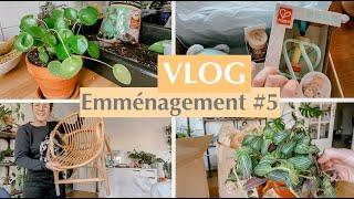 Unboxing tradescantia, Chambre de bébé, Rempotage & Illustrations - VLOG emménagement #5