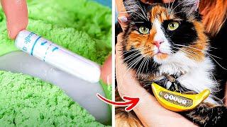 DIY Crazy Cool Stuff Your Cat Will LOVE!