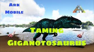 Taming Giganotosaurus || How To Tame Giga Ark Ultimate Survival Mobile Edition #arkmobile