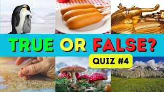True or False General Knowledge Quiz #4 - Questions and Answers - Trivia Questions - 35 Questions