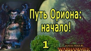 TOTAL WAR WARHAMMER: Путь Ориона (Лесные Эльфы). Часть 1. Начало.