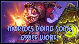 Hearthstone: Murlocs doing some quick work (murloc paladin)