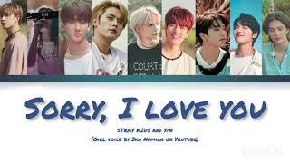 Stray Kids- Sorry, I love you- with Y/N [Vostfr]