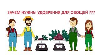 Добриво для врожаю. Приклад навіщо вони потрібні та як допомагають