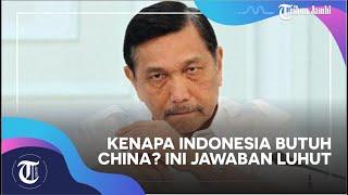 Kenapa Indonesia Butuh China? Ini Jawaban Menko Maritim & Investasi Luhut Binsar