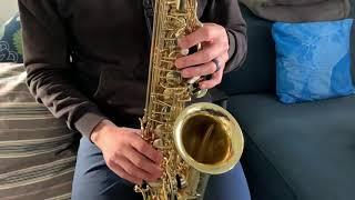 Selmer Series III Demo, DC Sax