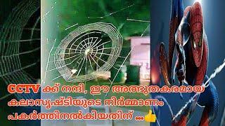 spider net making video CCTV ക്ക് നന്ദി, ഈ അത്ഭുതകരമായ കലാസൃഷ്ടിയുടെ നിർമ്മാണം പകർത്തിനൽകിയതിന് ..️