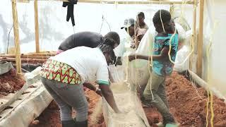 Women Leading the Farming Revolution , in Kenya | Dial *702*44# Today to Kick-start this Journey .