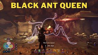 Where To Find The Black Ant Queen in Grounded | Black Ant Queen Location