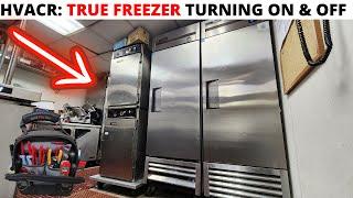 HVACR: TRUE Freezer Not Freezing (TRUE Freezer Not Cooling) TRUE Freezer Troubleshooting & Repair