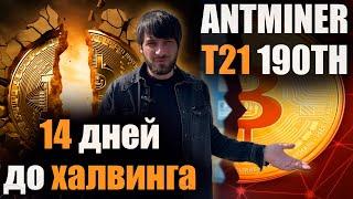 Окупаемость асиков 6 месяцев ?!| Крипта лучше фонды? Что ждет майнеров после халв | #bitcoinmining