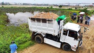 Wonderful 5 T Dump Trucks Start Drop Land And Skill D58E KOMATSU Dozer Push