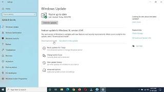 Windows 10 Version 21H1 Feature Update