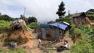 Rural Nepal and the Natural Lifestyle | Simple Nepali Mountain Village Life | BijayaLimbu