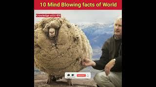 10 mind blowing facts of world #shorts #HRK