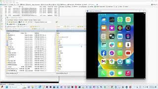 How to Capture iOS Traffic HTTP With Fiddler in iOS 15 - iOS 17 (2023)