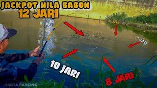 Lama Nga Dijamah Pemancing Mancing ikan besar - besar Di Sungai ini Masih Sangat Mudah